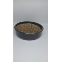 la farine de kelp transforme vos appâts 1 et 5 kg mtbilles