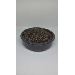 Graine de Niger pour Bouillette : Boostez vos Appâts Carpe mtbilles