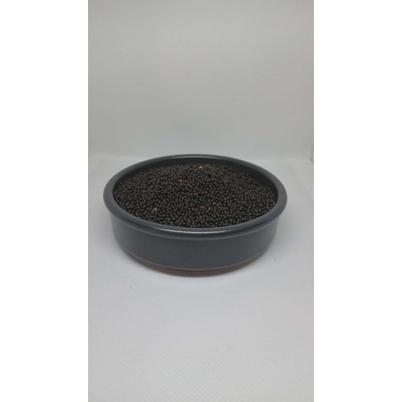 Graines de Colza pour Pêche (2kg & 5kg) - Attraction Naturelle | MTBilles