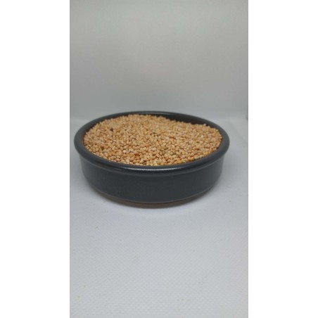 Graines de Millet pour la Pêche - Carpe, Coup & Feeder Mtbilles