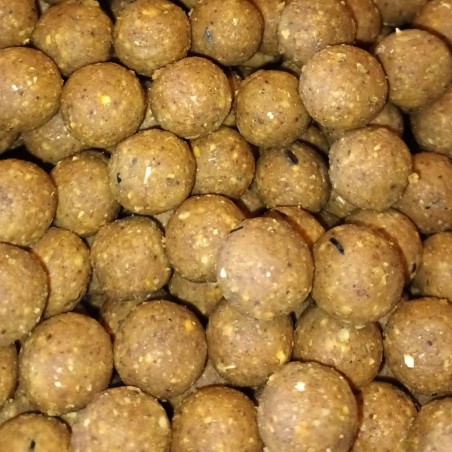 MT Billes | Bouillettes Artisanales Haute Performance pour la Carpe,Bouillettes artisanales carpe