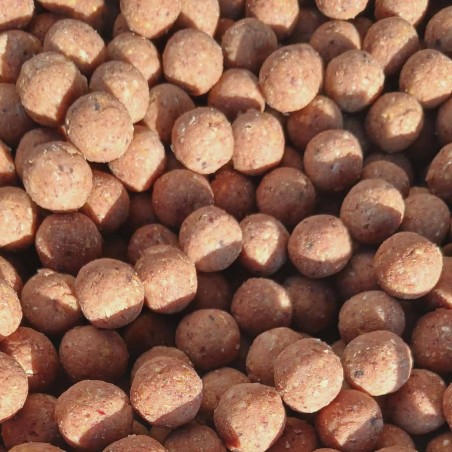 Bouillettes Suprême Krill 16/20mm | Appât Carpe Riche en Huile de Krill mtbilles