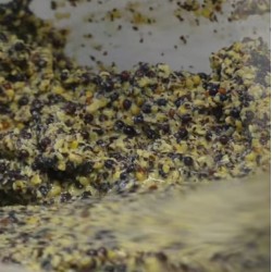 Colza+ Ébouillanté | Farine de Pêche Ultra-Nuageante à Préparer
