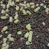 Mélange Mix  Pellets Enduro Carpe 5kg - Mix Haute Attraction