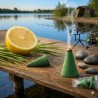 Pack 25 Cônes Encens Citronnelle & Menthe - Anti-Moustique Spécial Pêche Carpe