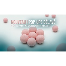 Pop ups  15 mm Neutre /arome au choix mtbilles 60 grs