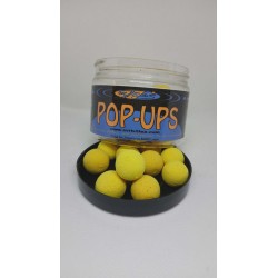 Pop-Ups Curry 12mm & 15mm - Esche Épicée Carpe | MT Billes 8€