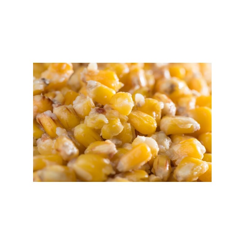 Maïs Naturel 5kg - Graines d'Amorçage Carpe & Coup | MTBilles