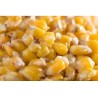 Maïs Naturel 5kg - Graines d'Amorçage Carpe & Coup | MTBilles