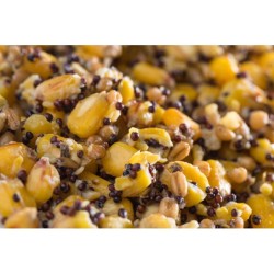 Mélange de Graines  5kg - Prêt à l'emploi | MTBilles