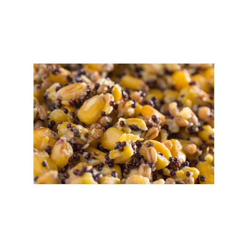 Mélange de Graines  5kg - Prêt à l'emploi | MTBilles