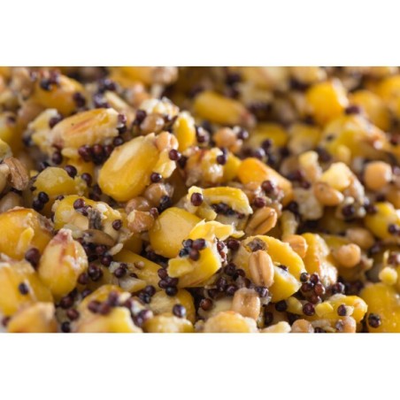 Mélange de Graines  5kg - Prêt à l'emploi | MTBilles