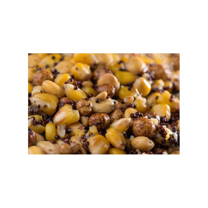 Mélange de Graines Premium 5kg - Prêt à l'emploi | MTBilles