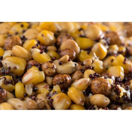 Mélange de Graines Premium 5kg - Prêt à l'emploi | MTBilles