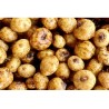 Tigernuts Standard Cuites (5kg) - Noix Tigrées Carpe | MTBilles