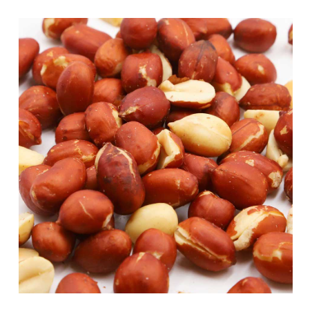 Arachides 1kg pour la Pêche - Graines Ultra Attractives | MTBilles